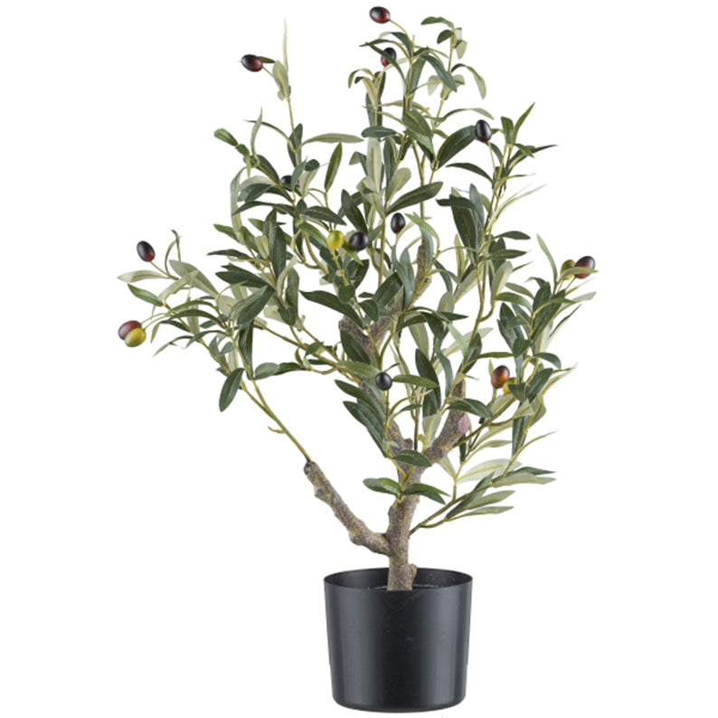 Arbol