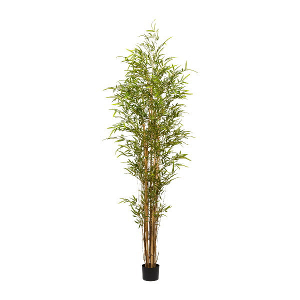 Arbol