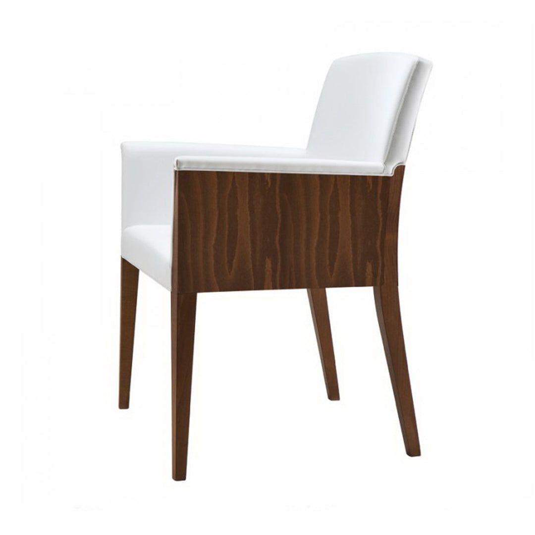 Sillon
