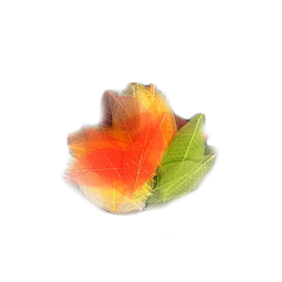 Potpourri