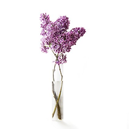 Tubo para flores
